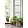 Artscape Classico Window Film, 24" x 36" (02-3008)~#|#~D23BEFF4-B489-4A03-B8C3DB4C7360E480_sc7