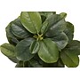 Monarch Specialties Inc. 14" Artificial Ficus Elastica Plant in Pot, 2/Set (I 9558)~#|#~D2435F88-20B2-4C38-B66B508294FCE9C2_sc7