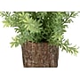 Monarch Specialties Inc. 12" Artificial Mullberry Grass Plant in Pot, 2/Set (I 9360)~#|#~D24FB6E0-0BA2-4B6C-809ACD0E957284EB_sc7