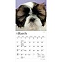 2027 BrownTrout Shih Tzu Puppies 7" x 7" Monthly Wall Calendar (9798330710089)~#|#~D258FD01-BB83-4236-B0B0F9265FD3D45C_sc7