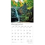2026 BrownTrout New Jersey Wild & Scenic 12" x 12" Monthly Wall Calendar (9798330704842)~#|#~D25E0D65-21EA-4627-B1513A62C6AC4243_sc7