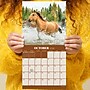 2026 TF Publishing 12" x 17" TF Publishing 7" x 7" Horses Mini Calendar 26-2001~#|#~D2847D84-5B62-4B21-B5015A0EC3FF31F4_sc7