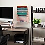Mind Reader 5-Pocket Plastic Mountable Wall File, Letter Size, Pink (WALLANCH-PNK)~#|#~D287B403-E930-4F6E-81B823CAC1607620_sc7