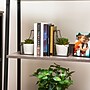 Mind Reader Metal Terrarium Bookends, 6.25", Black (GLBOOK2-BLK)~#|#~D28D7DA3-8D07-4A54-9D070085DC2328CC_sc7