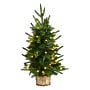 Nearly Natural Artificial Christmas Tree, 2' (T3325)~#|#~D294BD88-3DB7-4253-ADE7514EFB5ACA0F_sc7
