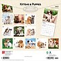 2027 BrownTrout Kittens & Puppies 12" x 12" Monthly Wall Calendar (9798330711796)~#|#~D2B15607-AD44-4FD7-B71F5F43FA6CE877_sc7