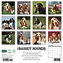 2027 Willow Creek Basset Hounds 12" x 12" Monthly Wall Calendar, Assorted Colors (59043)~#|#~D2B4A0E4-1FE7-492F-92AB872C05F4F88C_sc7