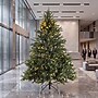 Safavieh 5.5 ft. Pre-Lit Artificial Christmas Tree, 350 Lights, Green (FXP2018A)~#|#~D2C34FC1-1B1E-43DB-8F8FCA2693416BB0_sc7