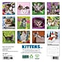 2026 Willow Creek Kittens 7" x 7" Monthly Wall Calendar (53638)~#|#~D2C925B4-B82E-4F84-810E17FE7FCD72FD_sc7