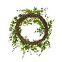 National Tree Company 22" Ivy and Eggs Easter Wreath (RAE-KSD20A204)~#|#~D2CA671C-D70B-4D18-B99E0D8312DC9254_sc7