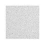 Armstrong DUNE Angled Tegular Edge Ceiling Tile, 24" x 24", White, 12/Carton (BP1853)~#|#~D2F81EA4-3FDA-4901-976115F6EDA9806A_sc7