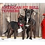 2026 BrownTrout American Pit Bull Terriers 14" x 12" Monthly Wall Calendar (9798330707867)~#|#~D2FDAB38-709B-45E8-A084565A2FA83645_sc7