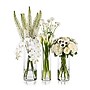 Azar Displays Large Vase Tabletop Decor, Clear (556966-SET)~#|#~D30EED98-38FB-4DFF-9F9B7EA63E3A69E4_sc7