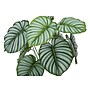 Monarch Specialties Inc. 24" Artificial Calathea Plant in Pot (I 9577)~#|#~D31D9AC1-70E0-41EB-ABC23F5455C85A0D_sc7