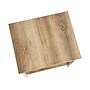 Household Essentials Jamestown 18"W x 17"D Laminate Side/End Table, 2 Shelves, Coastal Oak/White (8230-1)~#|#~D321D34E-58E8-4946-83846F6DE77A5018_sc7
