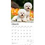 2026 BrownTrout Bichon Frise 12" x 12" Monthly Wall Calendar (9798330702411)~#|#~D3268870-992C-4501-8EABBCDDE8339274_sc7