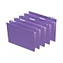 Staples Hanging File Folders, Letter, 1/5-Cut Tab, Letter Size, Purple, 25/Box (ST419200-CC)~#|#~D3337278-303A-467D-8CF8B15B915F5B1E_sc7