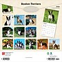 2026 BrownTrout Boston Terriers 12" x 12" Monthly Wall Calendar (9798330702602)~#|#~D33D07CB-9DAA-4B1B-86A9E7A5BAA53A46_sc7