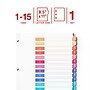 Staples Customizable Table of Contents Numeric Dividers, 15-Tabs, Multicolor (ST62989)~#|#~D342A5DD-D3E3-4CEE-8247FA6D2E8BCF5D_sc7
