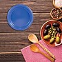 JAM Paper 7" Plastic Plates, Blue, 80/Pack (7255320674g)~#|#~D34A6BC1-75ED-4379-A6143EE976F349F0_sc7