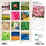 2026 Plato Simplicity 12" x 12" Monthly Wall Calendar (9798330706686)~#|#~D34F2C62-F96C-4955-B7B26F28A98851D2_sc7