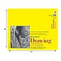 Strathmore 300 Series 14" x 17" Drawing Sketch Pad, 50 Sheets/Pad (STTP3401141)~#|#~D3563100-6BF1-4D3C-8B66BA04DEBA4513_sc7
