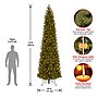 National Tree Company 12' Pre-Lit Downswept Douglas Fir Pencil Slim Artificial Christmas Tree with Color LED Lights~#|#~D38CA831-3149-4696-886CE624FF8AEC31_sc7