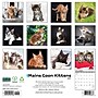 2027 Willow Creek Maine Coon Kittens 12" x 12" Monthly Wall Calendar, Assorted Colors (61138)~#|#~D38E8CB5-B4F3-45BF-BCDB8EB1CB226462_sc7