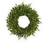 Nearly Natural 24-in Long Pine Artificial Christmas Wreath with 35 Clear LED Lights (W1115)~#|#~D39ED3B6-A8A5-43CF-A16970034B99107E_sc7