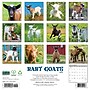 2027 Willow Creek Baby Goats 12" x 12" Monthly Wall Calendar, Assorted Colors (58961)~#|#~D3A215FF-B67B-423F-944DE1A4DBCCA741_sc7