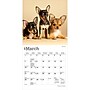 2027 BrownTrout Chihuahua Puppies 7" x 7" Monthly Wall Calendar, Assorted Colors (9798330709960)~#|#~D3DC56E9-E7E8-4B36-95B908DF33ADC7D5_sc7