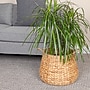 Household Essentials Round Handwoven Water Hyacinth and Seagrass Basket with Handles, Natural (HE1191)~#|#~D3F5BD0B-671C-4B23-9B9E3EA9BFB08312_sc7