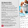 2026 BrownTrout Cavalier King Charles Spaniel Puppies 7" x 7" Monthly Wall Calendar (9798330702800)~#|#~D3FDA602-0B28-4278-97C66B68316ADFB0_sc7