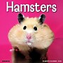 2026 Willow Creek Hamsters 12" x 12" Monthly Wall Calendar (57025)~#|#~D403710C-8115-4FCB-B483DEB7BCCBD2CB_sc7