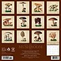 2026 Willow Creek Art of the Mushroom 12" x 12" Monthly Wall Calendar (49914)~#|#~D4166F2D-0B20-46C2-B7EC7B3C8765A266_sc7