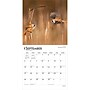 2027 BrownTrout Songbirds 12" x 12" Monthly Wall Calendar (9798330712113)~#|#~D420153E-A881-4344-A63D75B08725A97A_sc7
