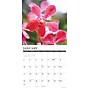 2027 Willow Creek Orchids 12" x 12" Monthly Wall Calendar, Assorted Colors (61626)~#|#~D431D633-4C29-4284-B4E894073F4E899C_sc7