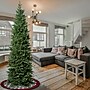 National Tree Company Duxbury Artificial Christmas Trees (PEDUX8-502-75)~#|#~D431E896-D4A1-4374-B4AE0FEDD9183D6D_sc7