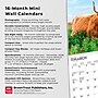 2026 BrownTrout Highland Cows 7" x 7" Monthly Wall Calendar (9798330703623)~#|#~D438ABEC-A1A5-4EEE-92403B1D6500CF3D_sc7