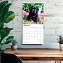 2026 BrownTrout Black Labrador Retriever Puppies 12" x 12" Monthly Wall Calendar (9798330704194)~#|#~D4394F1F-2B7D-4C81-A51526A37DBAE7B8_sc7