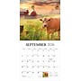 2026 BrownTrout Beckoning Barns 12" x 12" Monthly Wall Calendar (9781773728667)~#|#~D43A8459-4751-4DC9-83866C827DC295DA_sc7