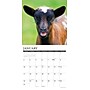 2027 Willow Creek Baby Goats 12" x 12" Monthly Wall Calendar, Assorted Colors (58961)~#|#~D43F5E84-E4BB-4AF3-964318D9C0236892_sc7