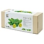 Plan Toys Dancing Alligator Wooden Pull Toy, Green (PTS5105)~#|#~D44A4830-0B75-465C-988AE97811D79A7F_sc7