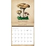 2027 Willow Creek Art of the Mushroom 12" x 12" Monthly Wall Calendar, Assorted Colors (58848)~#|#~D483ACDA-2B07-4A54-84ADA01BABC0AA54_sc7