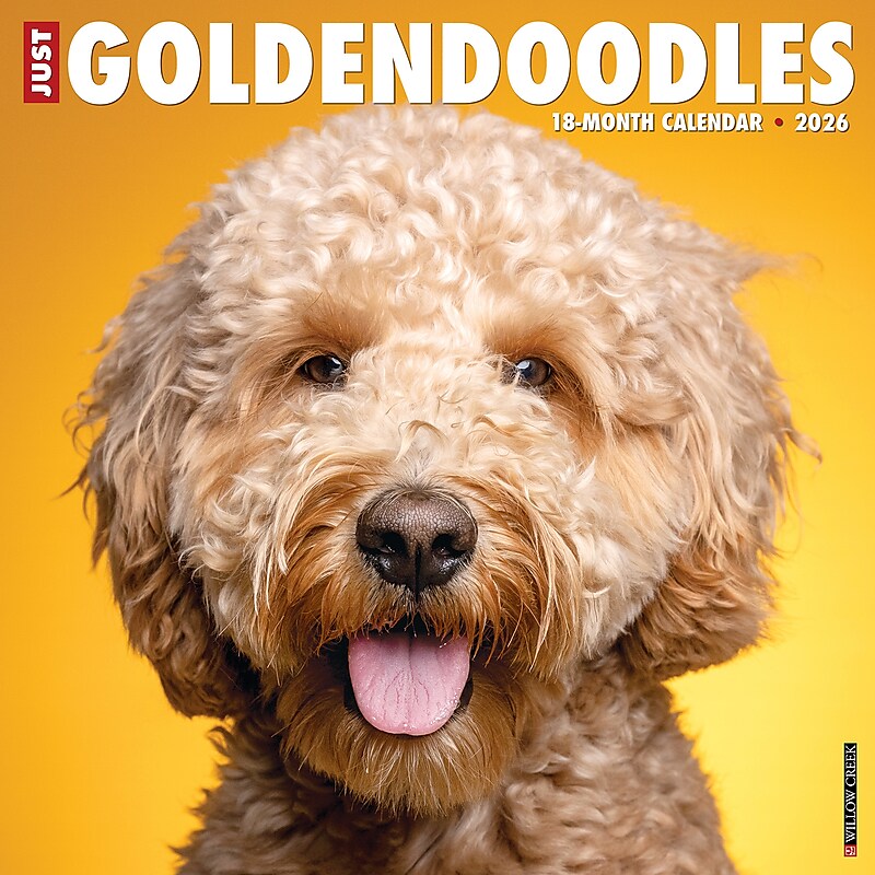 2026 Willow Creek Goldendoodles 12" x 12" Monthly Wall Calendar (51313) image 1