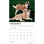 2027 BrownTrout For the Love of Siberian Huskies 14" x 12" Monthly Wall Calendar, Assorted Colors (9798330709274)~#|#~D4A36C31-D76E-446D-95F9D51E867ED4F2_sc7