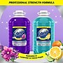Fabuloso Professional All-Purpose Glass & Surface Cleaner Degreaser Bottle, Lavender Scent, 125 oz. (61051910)~#|#~D4B6AB69-8B51-4B3A-9C40A0FA4898C924_sc7
