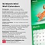 2026 BrownTrout Yoga Kittens 7" x 7" Monthly Wall Calendar (9798330701940)~#|#~D4C4BFE5-1B13-49A2-877E3E47FC00B502_sc7
