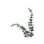 Monarch Specialties Inc. 44" Artificial Eucalyptus Tree in Pot (I 9561)~#|#~D4DBE1DD-0D3C-4D3D-9F065A0F34176013_sc7