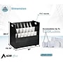 AdirOffice 21-Slot Mobile Roll File, 28.5"H x 30"W x 15.75"D, Black, 2/Pack (625-BLK-2PK)~#|#~D50FFEC3-F09F-48D8-82BE281B521DE846_sc7